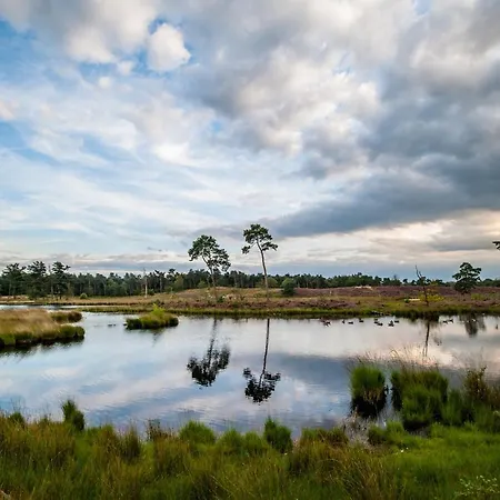 Bed & Breakfast Bij De 3 Linden Wijchen