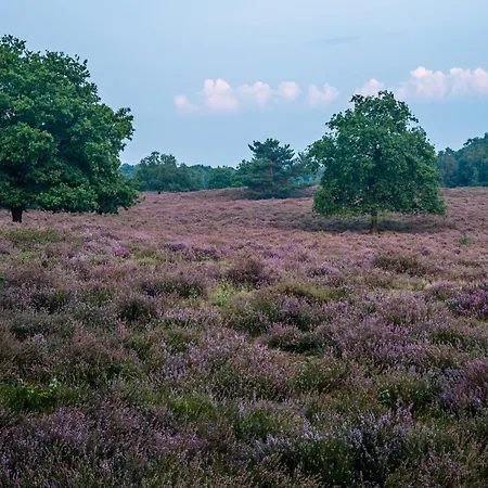 Bij De 3 Linden Wijchen