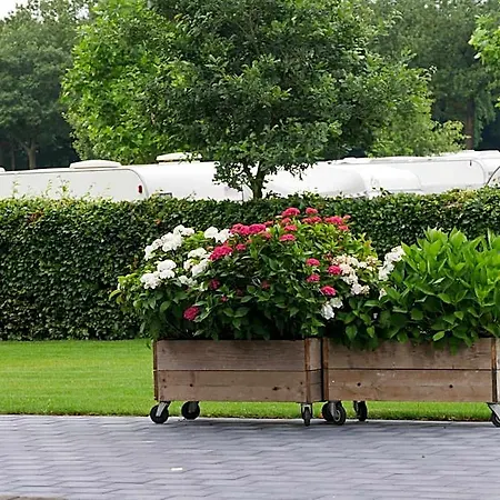 Bij De 3 Linden 3* Wijchen