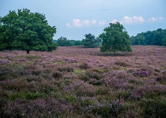 Bij De 3 Linden ヴィヘン