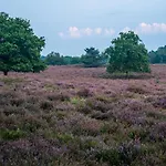 Bij De 3 Linden Wijchen